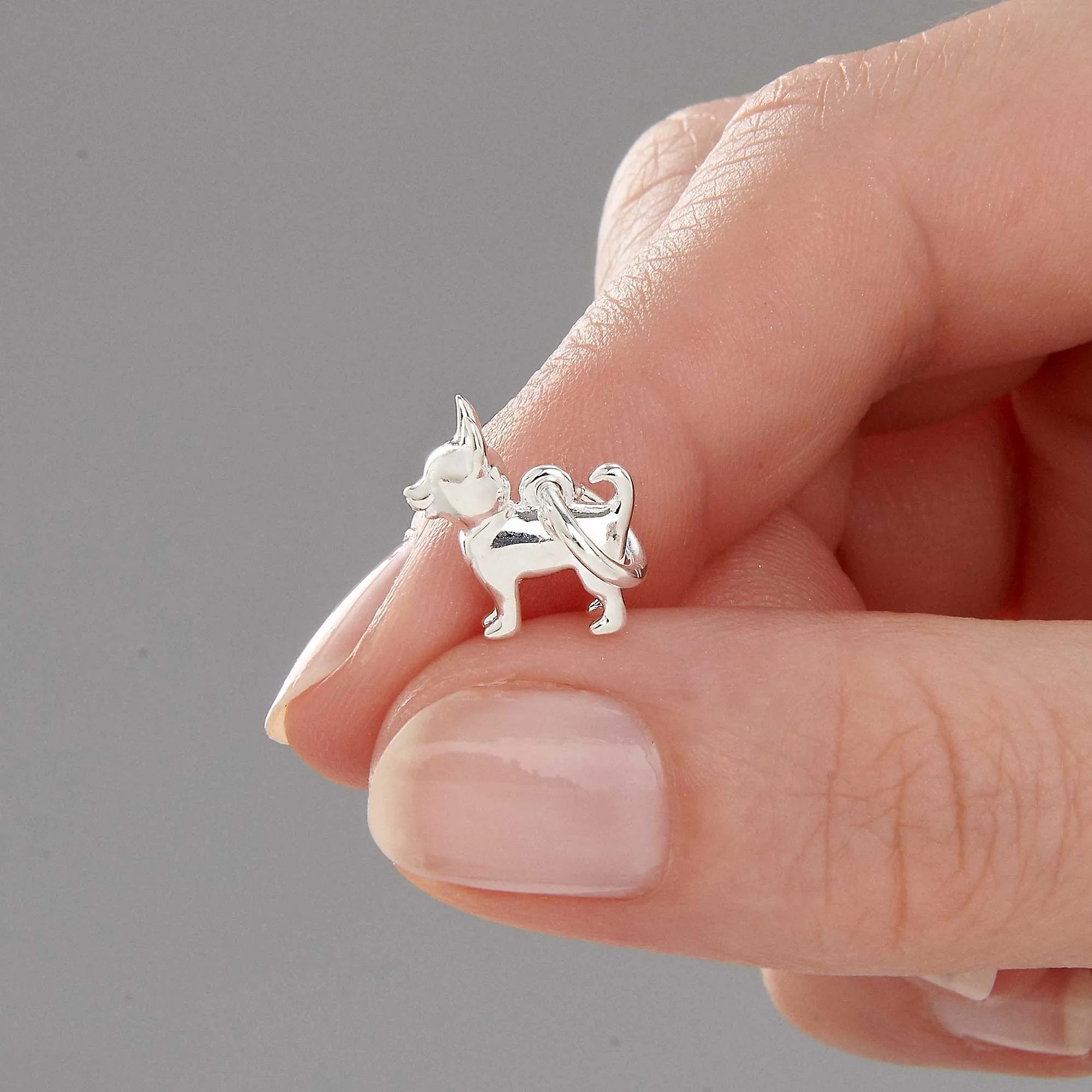 Chihuahua Silver Dog Charm