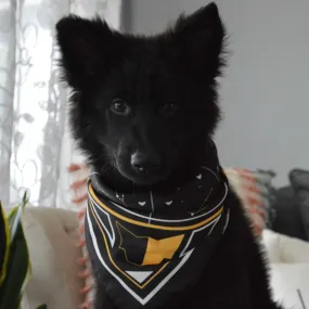 Pawtelations Dog Bandana