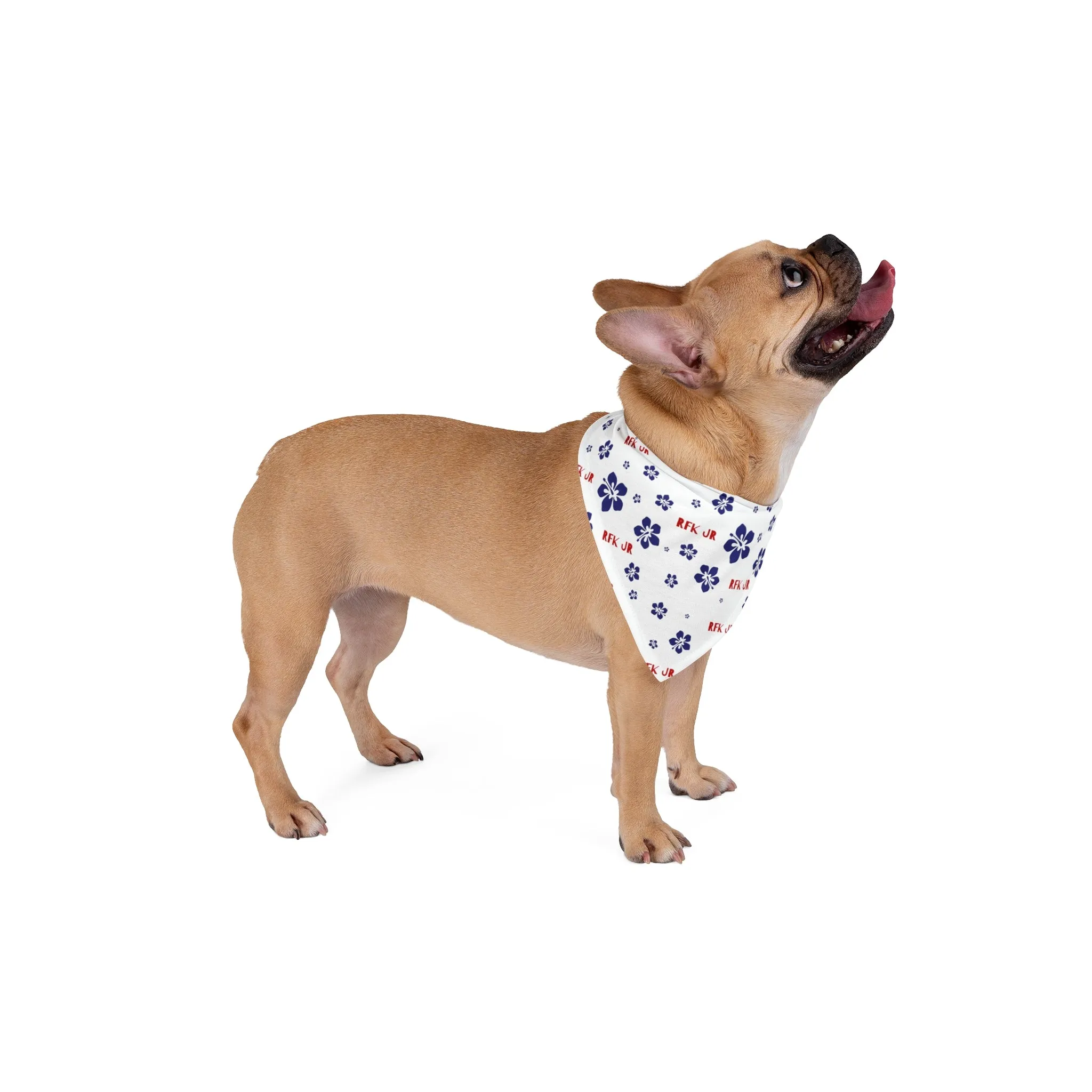 RFK Jr. Hawaiian Pet Bandana