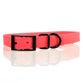 The Jubilant Dog Sport Collar